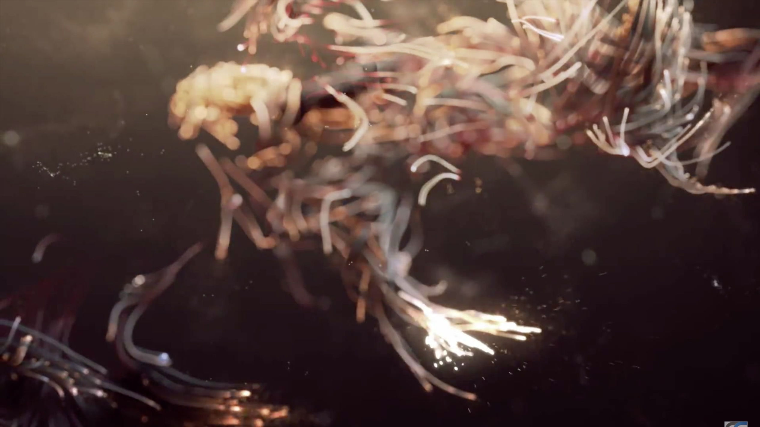 The Big Bang - Jack Addison